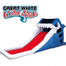 Blast Zone Great White Wild Slide   563277801